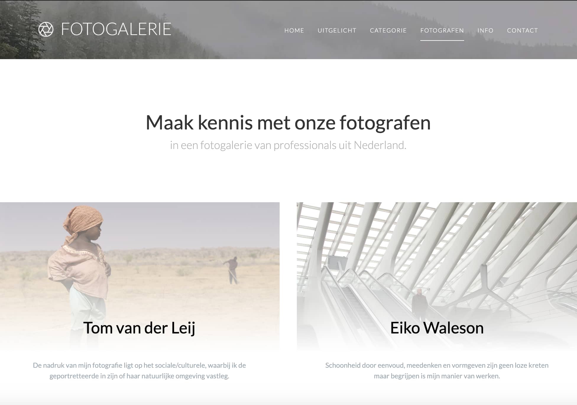 Pagina van website van Fotogalerie.nl